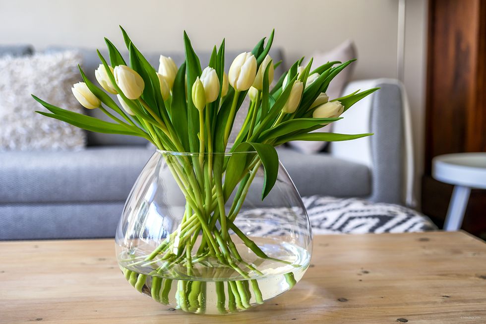 Flower, Vase, Plant, Yellow, Flowerpot, Cut flowers, Tulip, Flowering plant, Floristry, Houseplant, 