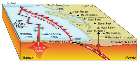 subduction of the juan de fuca plate beneath the north american plate﻿