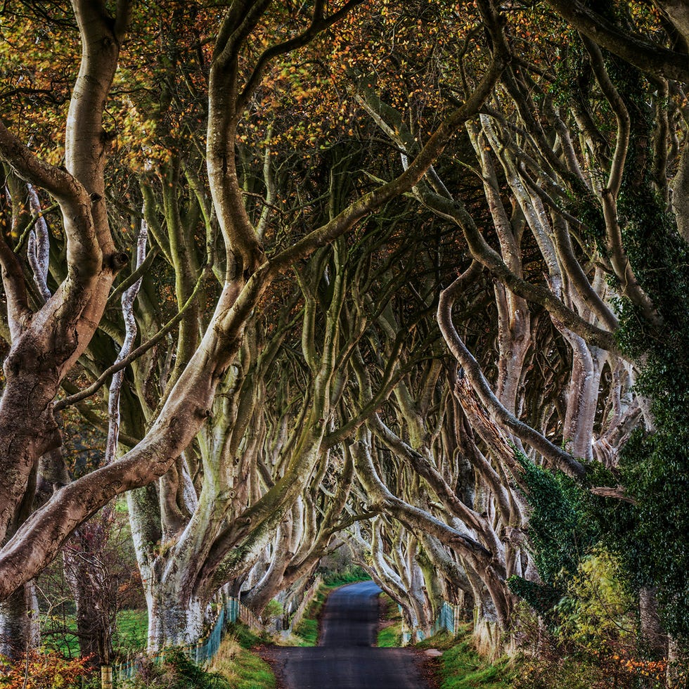 juego de tronos game of thrones