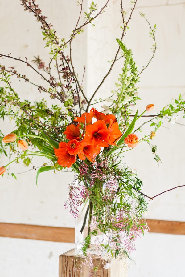 Flower, Flower Arranging, Floristry, Bouquet, Floral design, Plant, Branch, Cut flowers, Twig, Red, 