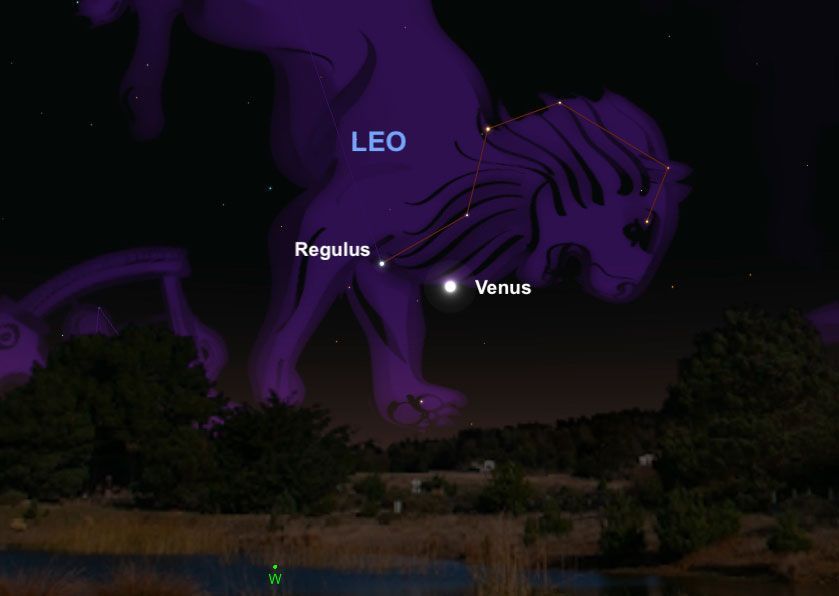 De helder stralende planeet Venus zal op 9 juli een ontmoeting hebben met Regulus het hart van het sterrenbeeld Leo de Leeuw