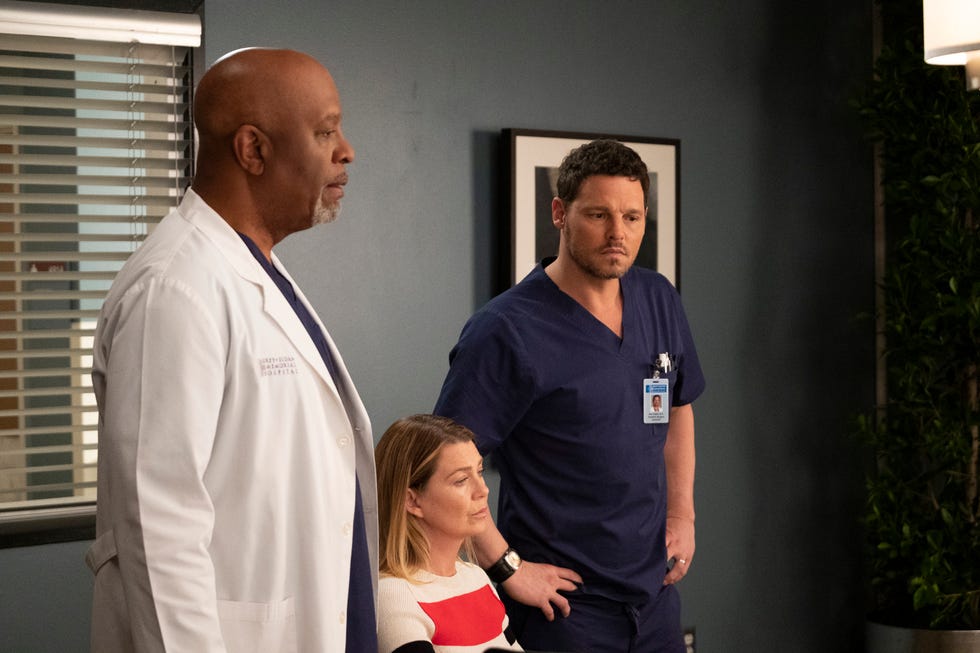 ABC's "Grey's Anatomy" - Season Fifteen
