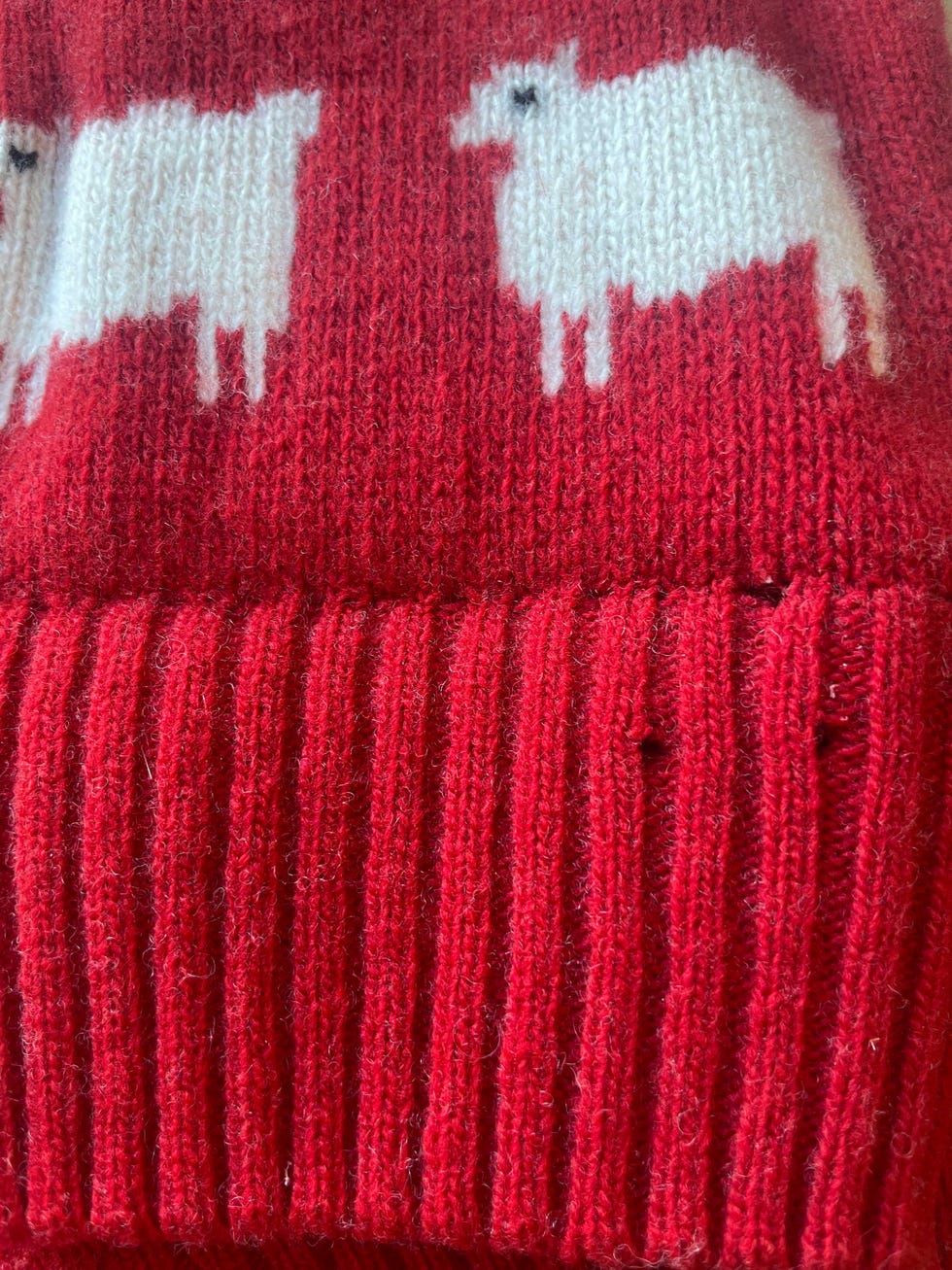 clothes moths ruined jumper