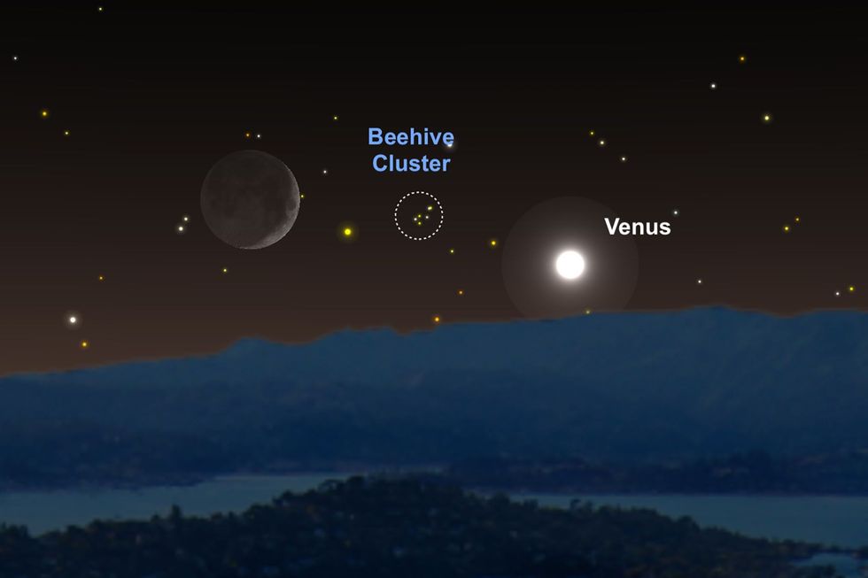 Venus en de maan zullen op 16 juni dienen als leidraden voor het vinden van de sterrenhoop Praesepe