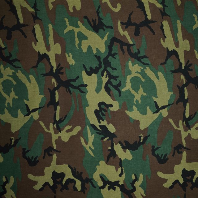 Woodland Camouflage Vector Pattern – Article Reform