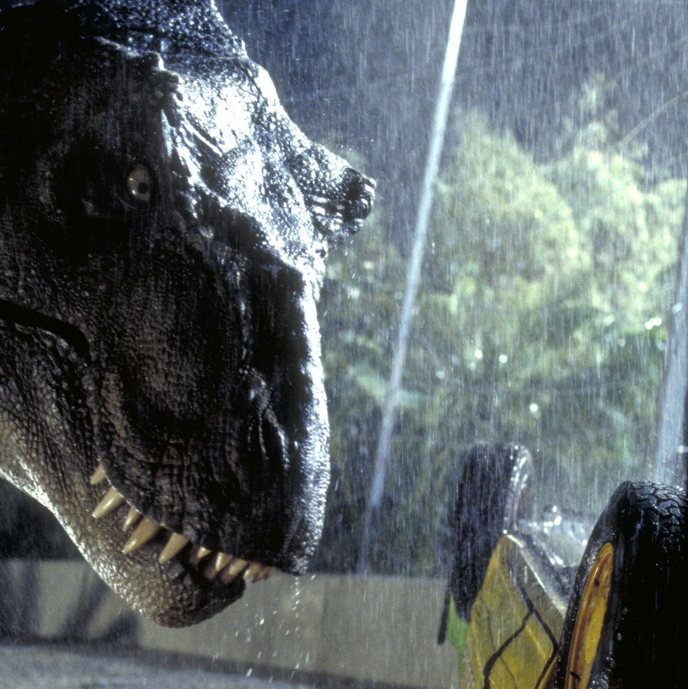 a tyrannosaurus rex menaces the theme parks first customers in a scene from the film jurassic park, 1993  photo by murray close getty images watch this first to see the jurassic park movies in order