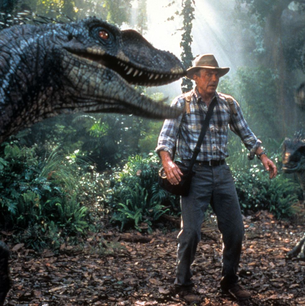 alan grand is confronted by three dinosaurs in a scene from 'jurassic park iii,' the third film if you want to watch the jurassic park movies in order