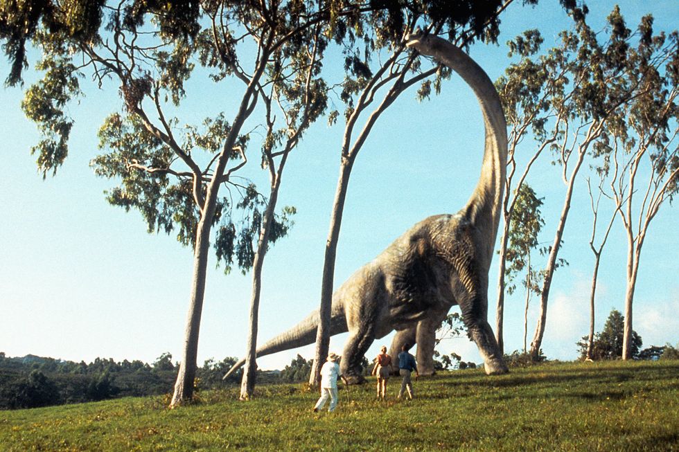 jurassic park pelicula 1993 escena diplodocus