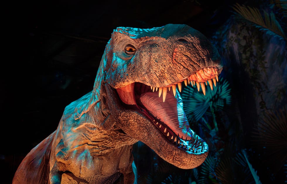 The Top T. rex Moments in 4K HDR