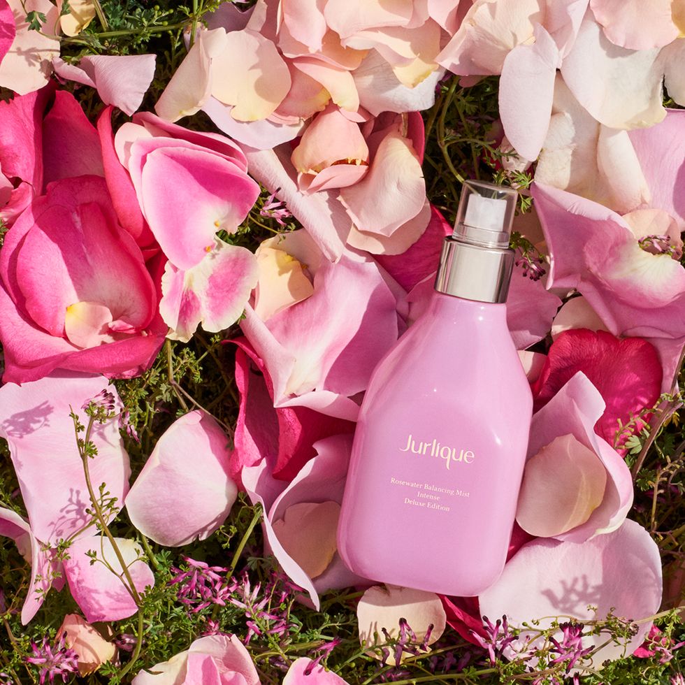 Pink, Flower, Bottle, Petal, Cut flowers, Rose, Plant, Spring, Glass bottle, Perfume, 