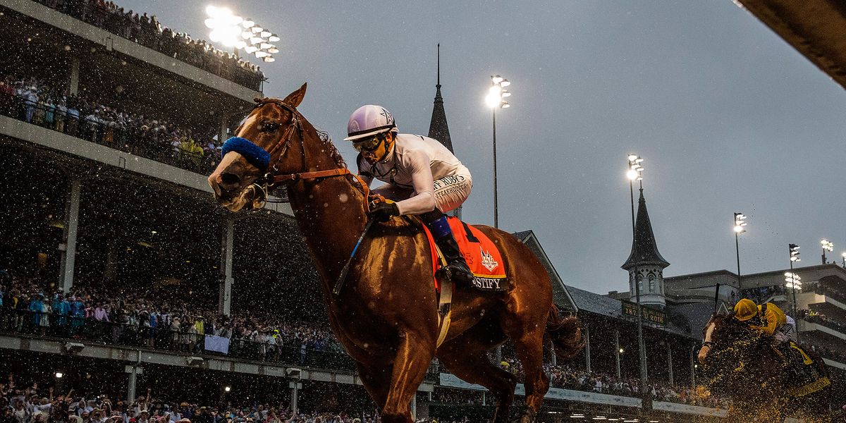 How Runners Really Learn From Watching Horse Racing
