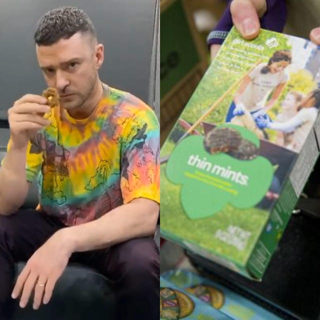 Green, Cool, Child, Human, Hand, Sitting, Games, Selfie, Reading, Play, 