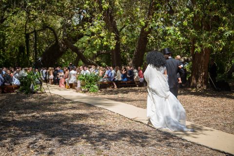 Photograph, Bride, Ceremony, Wedding dress, Wedding, Dress, Bridal clothing, Event, Botany, Woodland, 