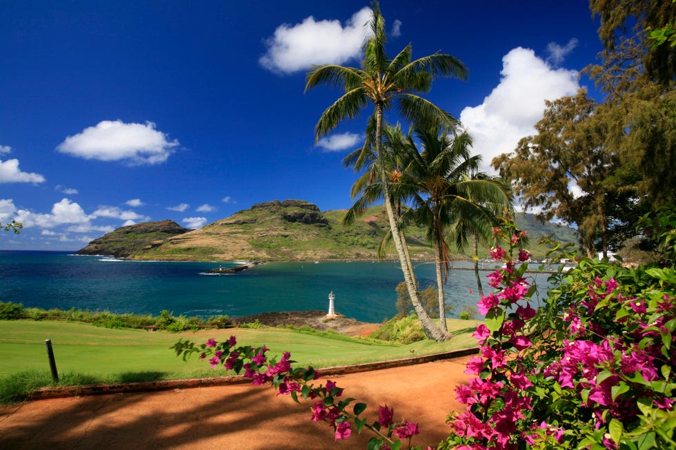 kalapaki beach with palm trees and a golf course behind the marriott resort, kukui point, lihue, kaua'i island, hawaii, usa