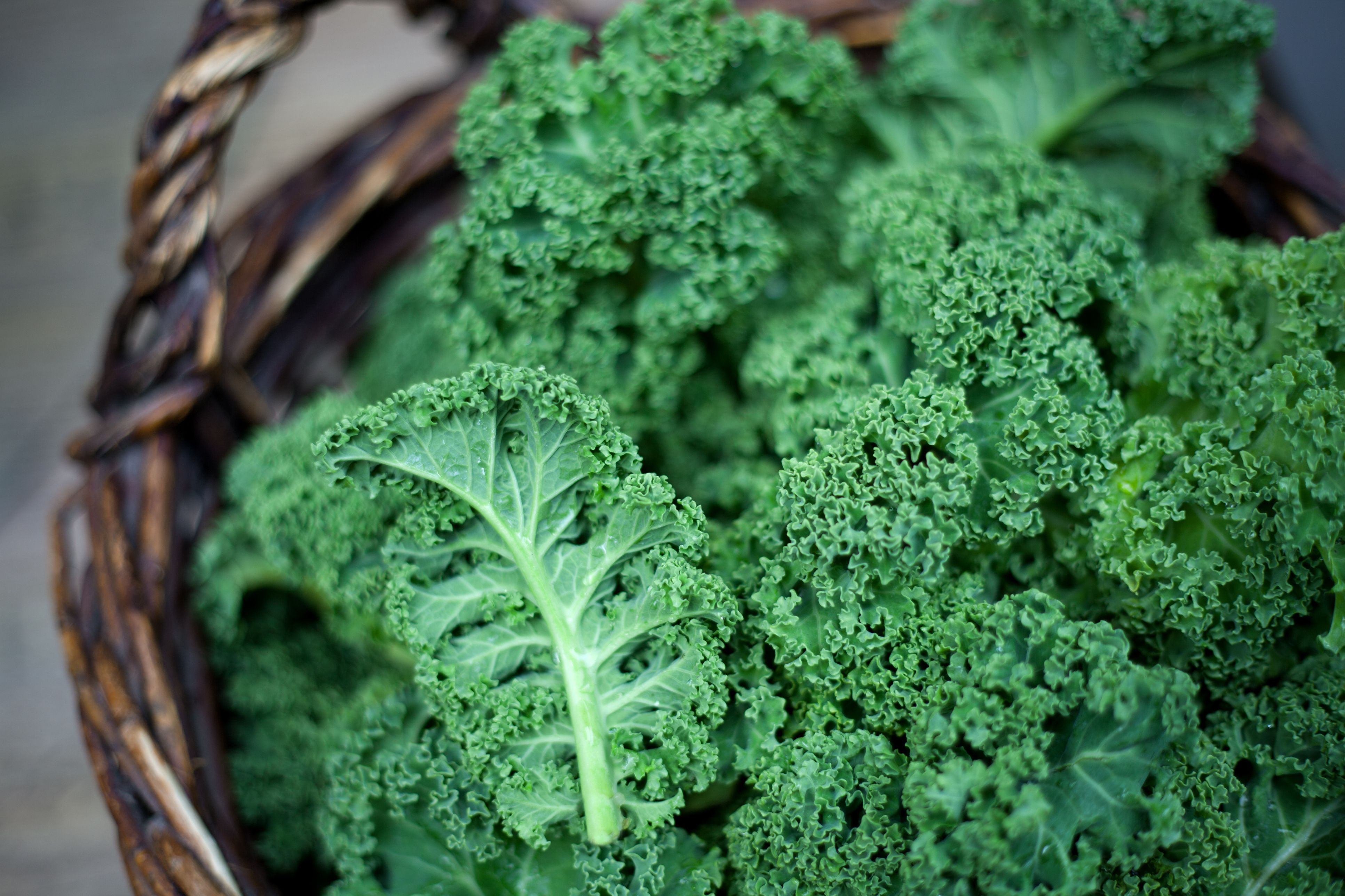 100Pcs Curly Kale Seeds Home Garden Backyard-Farm Nutritious Vegetable Plant 