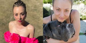 celebrities are commenting nonstop on kaley cuoco’s instagram of her new dog, larry