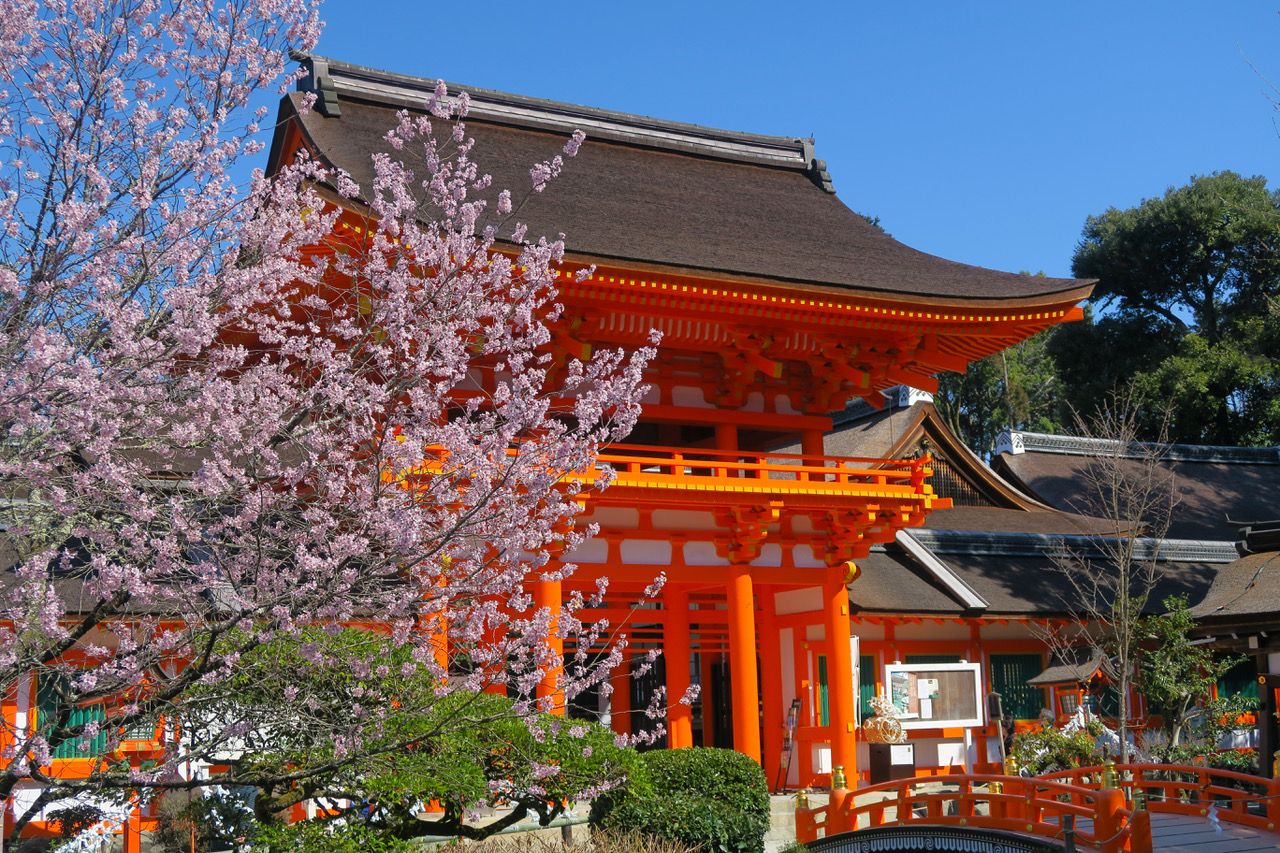 きょうの京】京都最古の神社・上賀茂神社も桜景色に