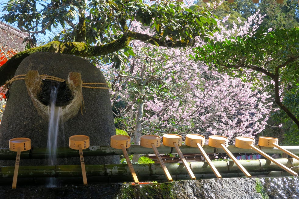 京都の歴史4（桃山の開花）昭和44年 発行：学藝書林