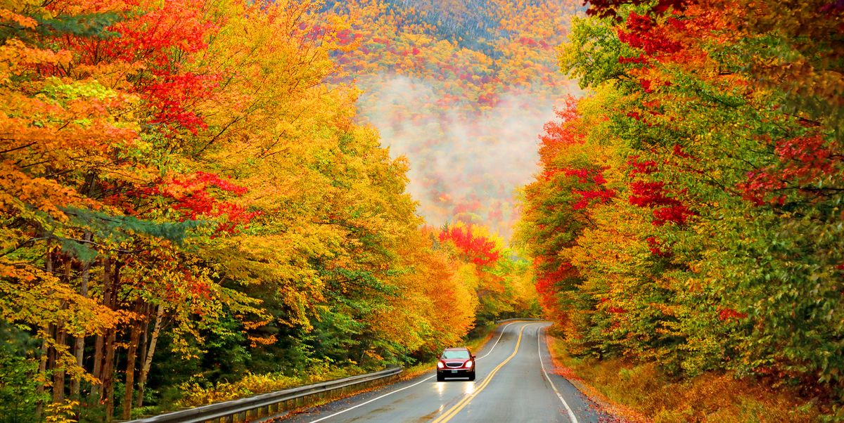 12 Scenic Drives to Take before the Leaves Fall
