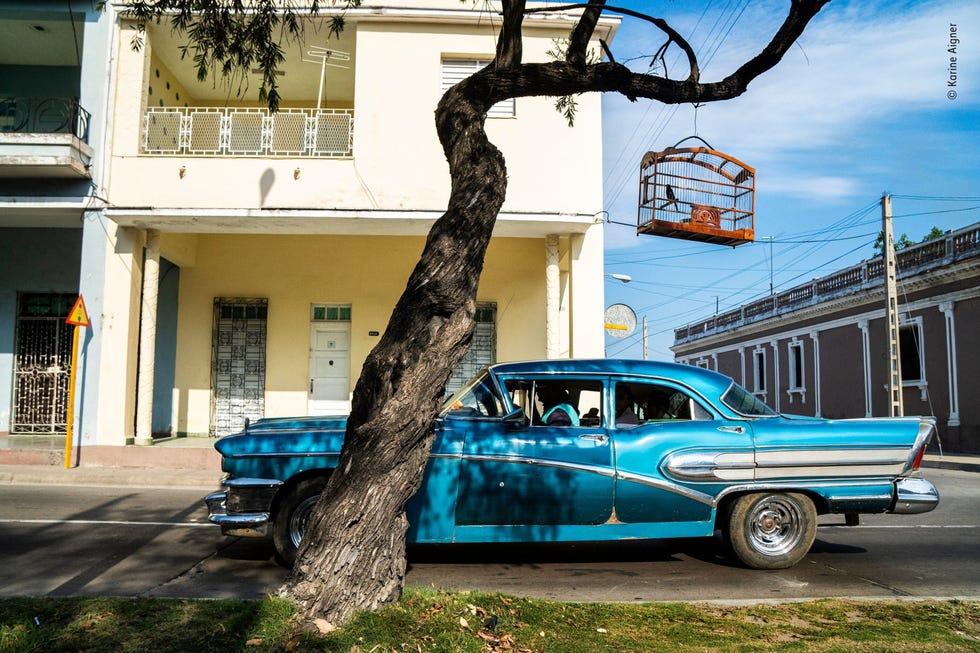 ‘The Cuban connection' by Karine Aigner, USA Winner, Photojournalist Story Award Een kooi met een Cubaans dikbekje hangt langs een weg zodat de vogel gewend raakt aan het rumoer van het straatleven en daardoor minder snel wordt afgeleid tijdens een zangwedstrijdDe fotos maken het echt zegt Karine Aigner over haar winnende fotos in de categorie Photojournalist Story Award van gevangengenomen zangvogels in Cuba Met deze beelden wilde Aigner mensen aan het denken zetten over de manier waarop we wilde dieren uitbuiten voor onze wensen en verlangensAigner Als je naar deze fotos kijkt en je ziet hoe het er echt aan toe gaat en hoe klein de kooien zijn dan krijg je een beter gevoel van de realiteit waarin deze dieren leven