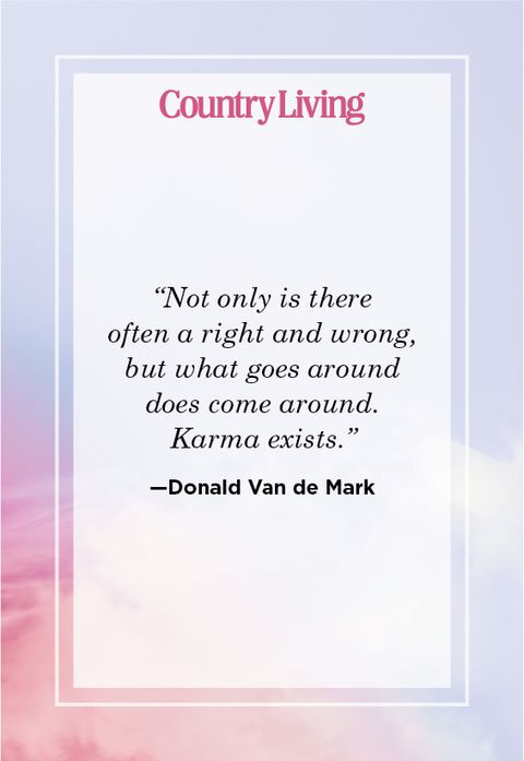 Inspiring Karma Quote by Donald Van de Mark 