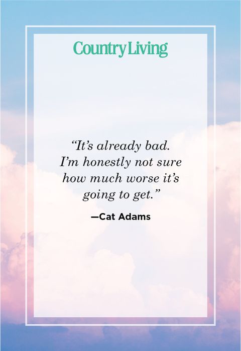 Inspiring Karma Quote by Cat Adams 