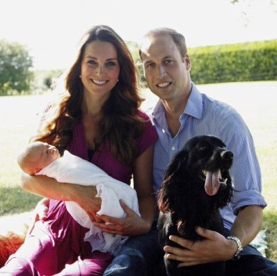 william and kate's dog lupo has sadly died
