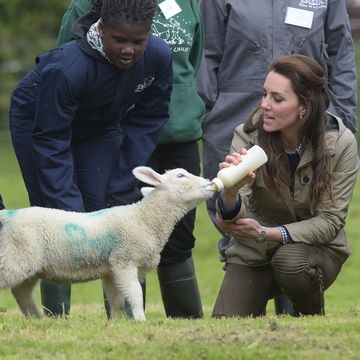 Kate Middleton en el campo