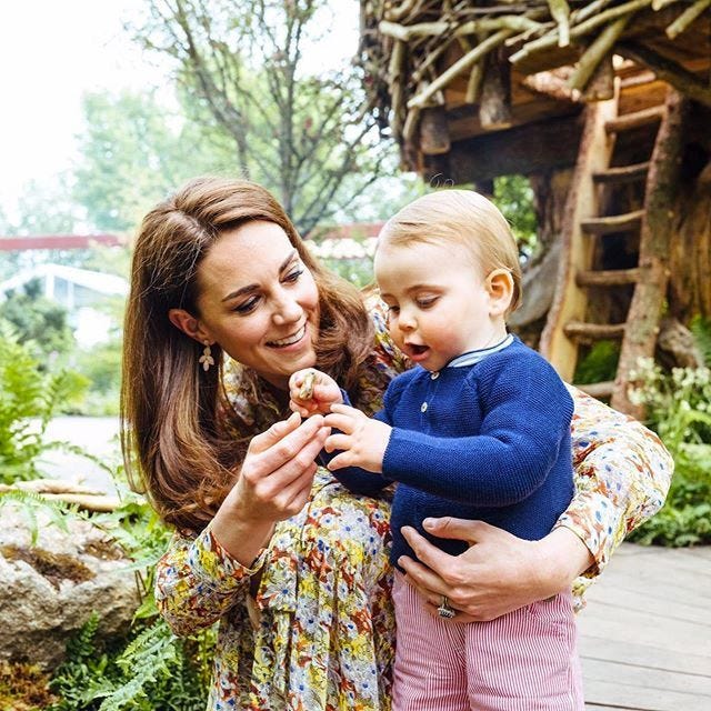 Kate Middleton & Other Stories dress