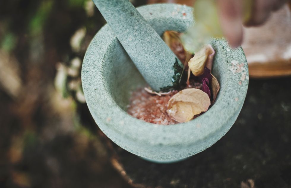 Mortar and pestle, Hand, Plant, 