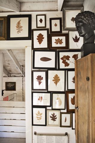 framed leaves in a maine cottage