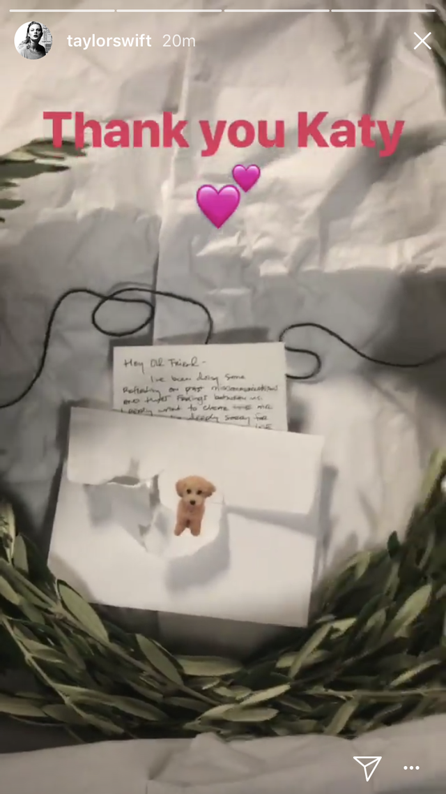 the literal olive branch taylor posted that katy sent her in 2018﻿