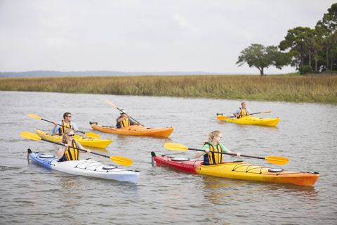 kayaking salt marsh