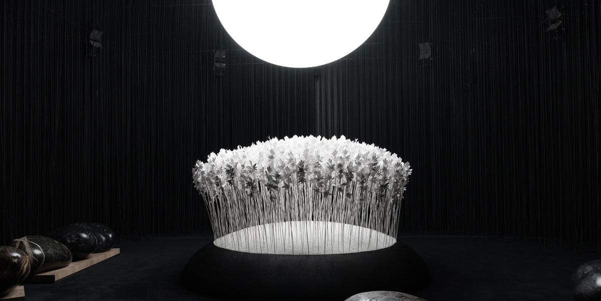 The Unexpected Link Between Perfume and Furniture The Unexpected Link Between Perfume and Furniture