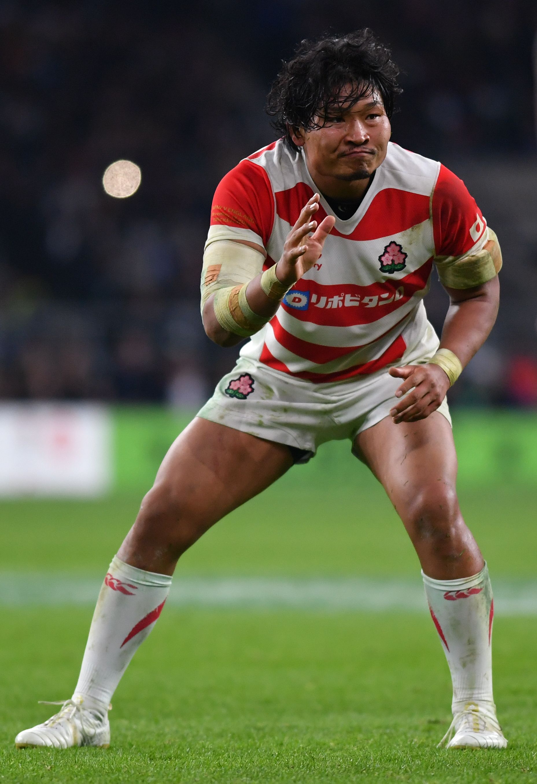 ラグビーワールドカップ2019、日本代表選手のボディパーツ de
