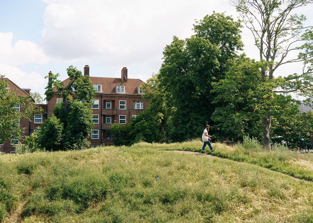 Wross Lawrence een professionele wildplukker plukt bijvoet in een park in East London De smaak van de plant die de hele zomer door groeit lijkt op die van salie