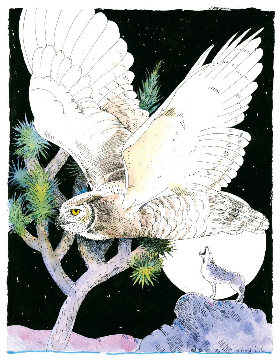 ken layne, desert oracle, illustration, joe ciardiello, night owl