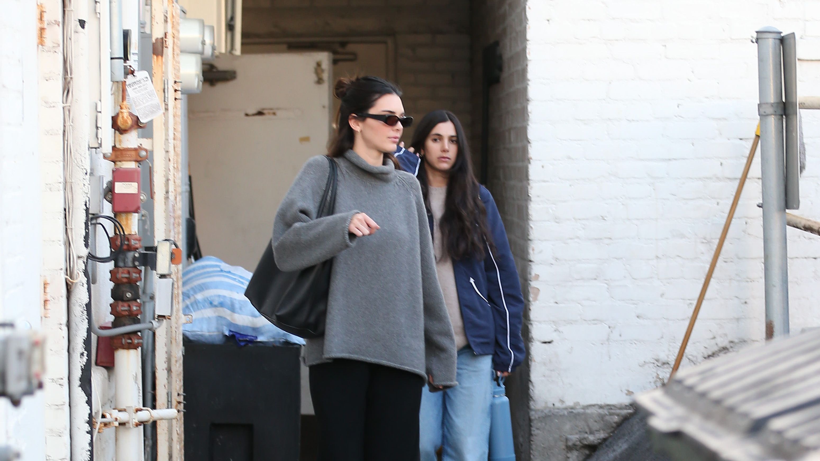 Kendall Jenner Cropped Grey Hoodie