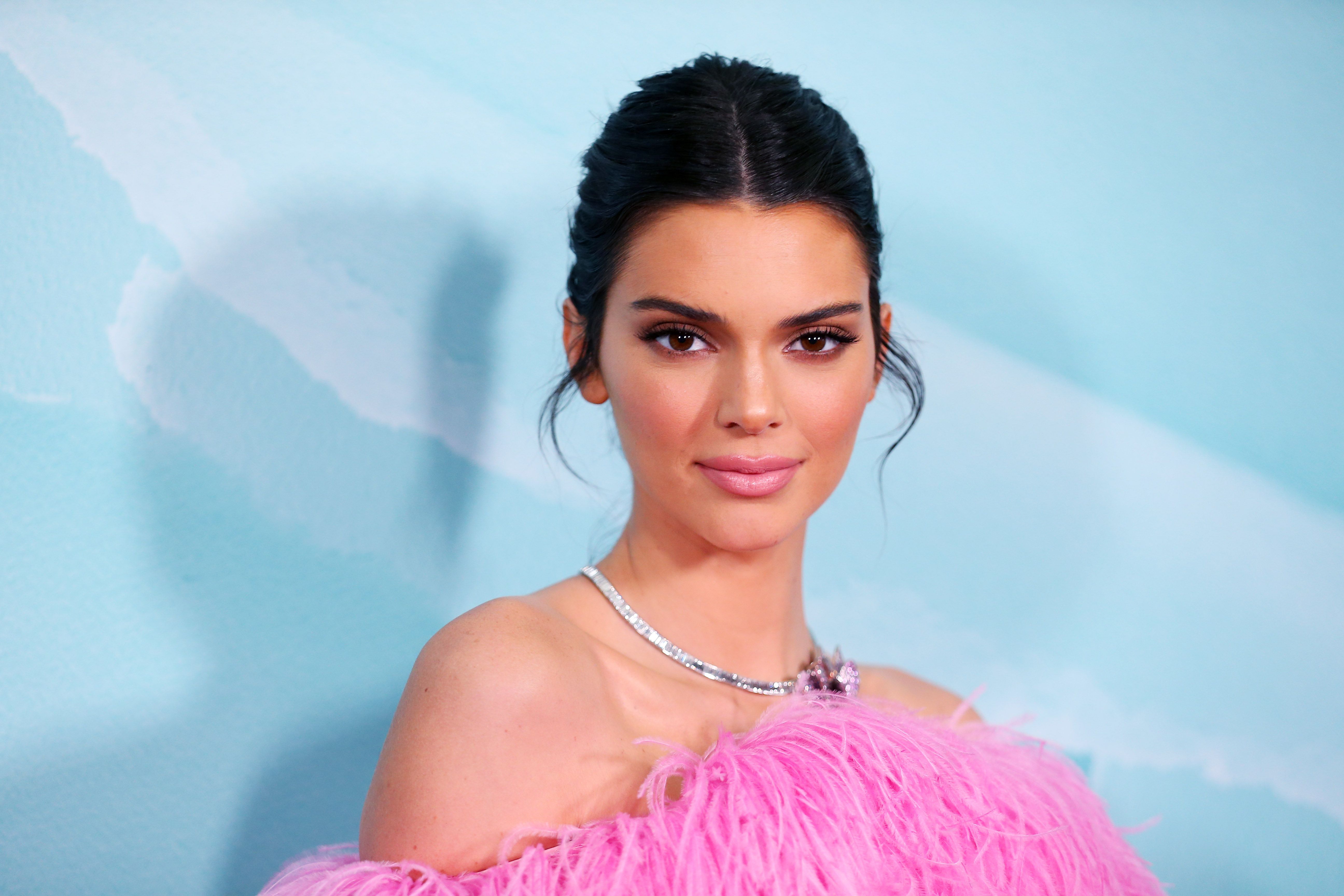 Kendall Jenner Bears it All, Wears Just a Pink Handbag For Latest  Photoshoot - News18