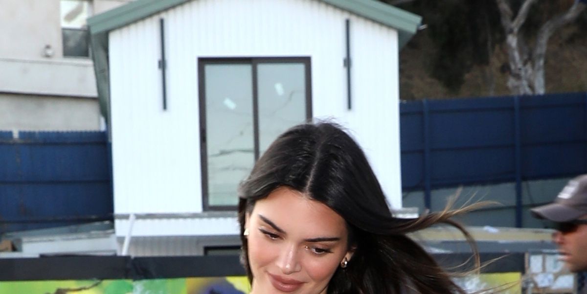 Kendall Jenner Wore A Sheer Top, No Bra, And Leather Skirt To Dinner