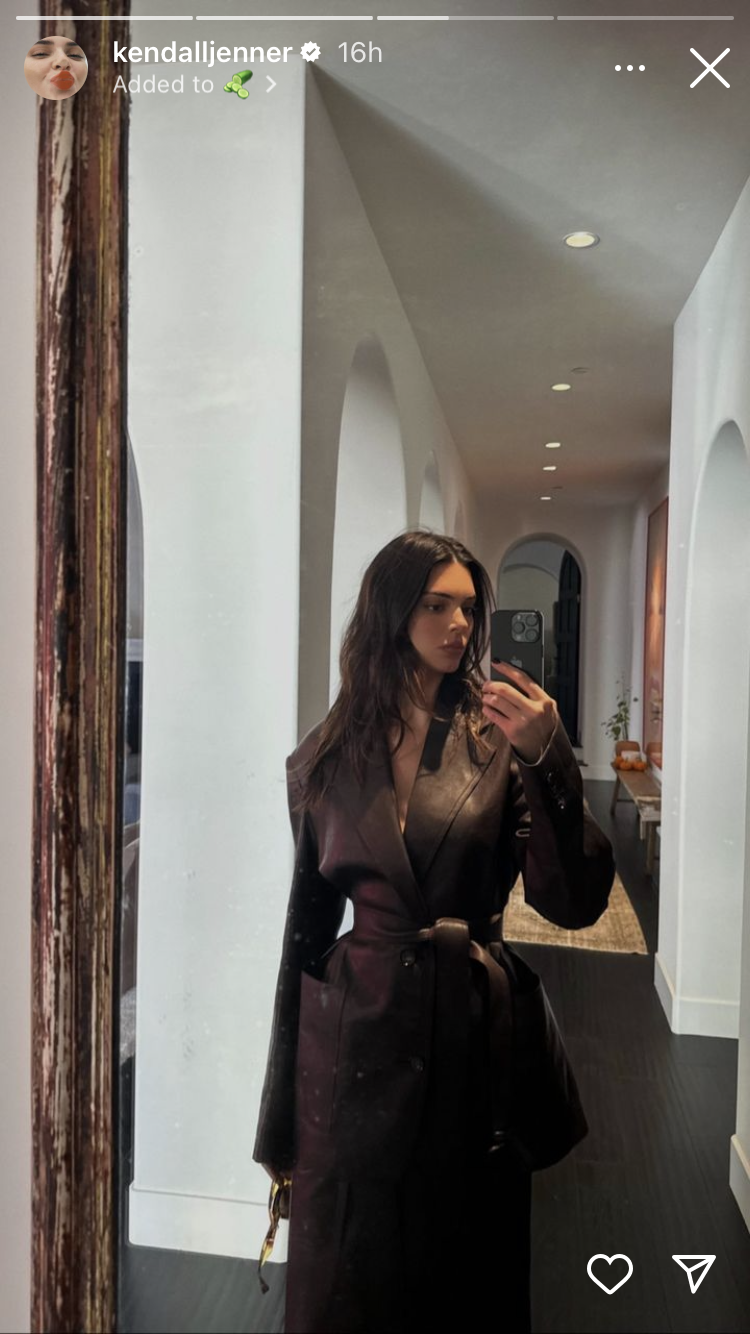 kendall jenner wearing a brown leather wrap coat