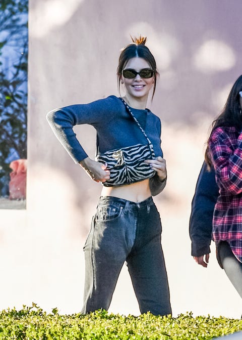 Everything Kendall Jenner And Kylie Jenner Eat In A Day