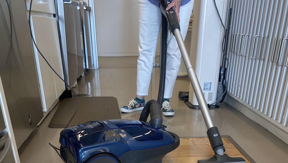 The 8 Best Vacuums for Pet Hair of 2024, According to Testing