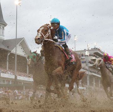 what to know about the kentucky derby 2024