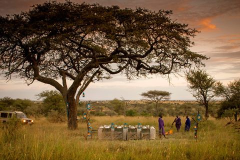 kenya the serengeti