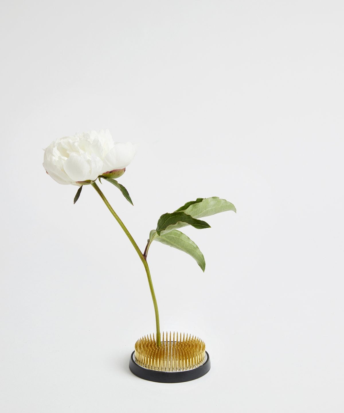 kenzan para flores