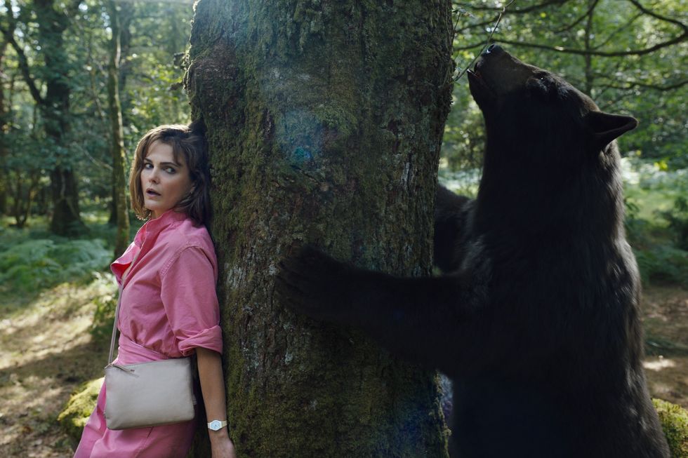 a frightened woman in a pink shit and holding a beige purse hides behind a tree in the woods, with a bear investigating the tree on the other side