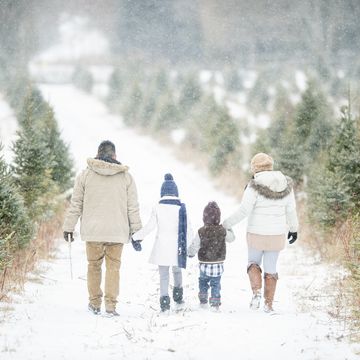familie wandelt in de sneeuw