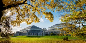 Jardines de Kew, Londres, Inglaterra