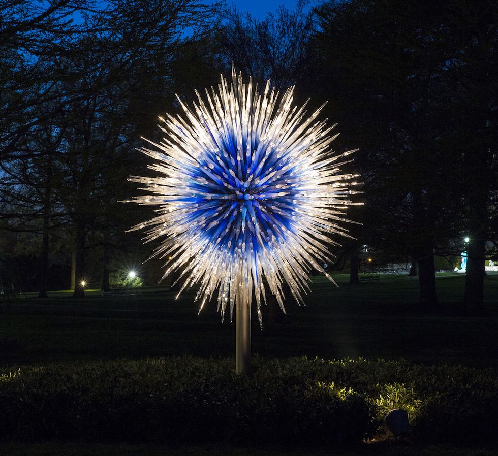 Dale Chihuly Sapphire Star photo